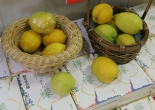 Limones en la librería Maruzen de Kyoto